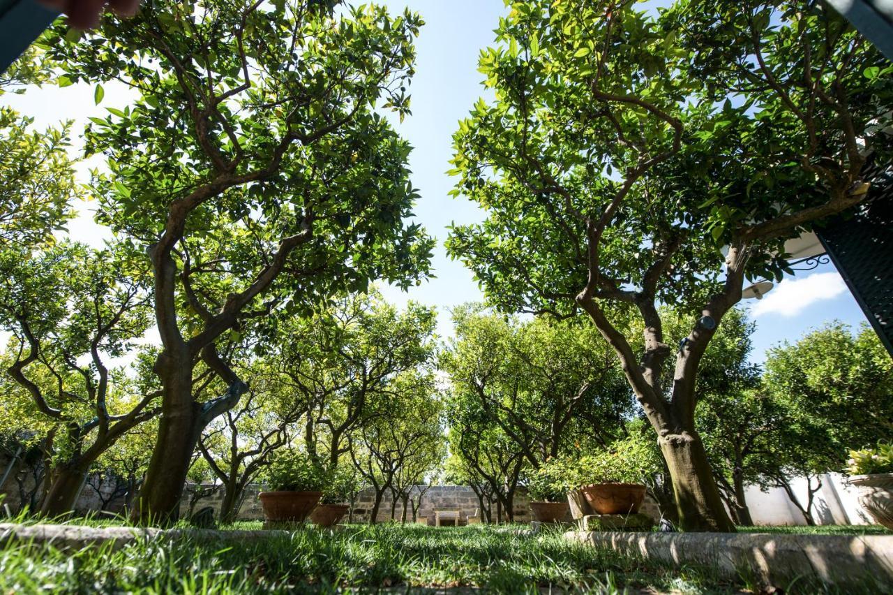 Bed & Breakfast Parco Degli Aranci *